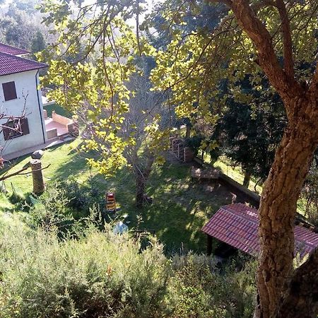 Chalet Reventino Bed and Breakfast Lamezia Terme Esterno foto