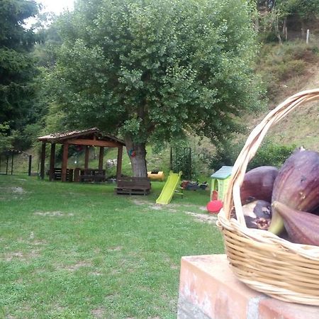 Chalet Reventino Bed and Breakfast Lamezia Terme Esterno foto